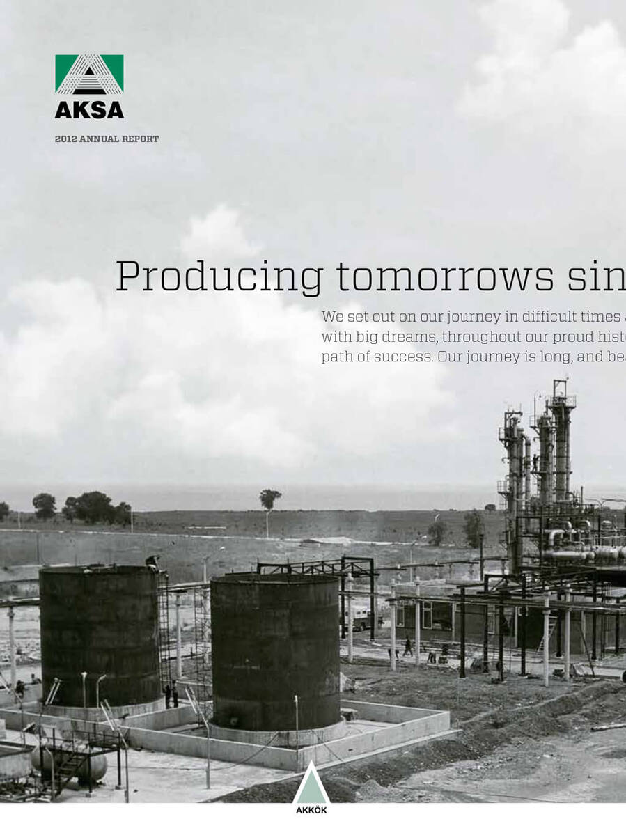 Annual Report 2012